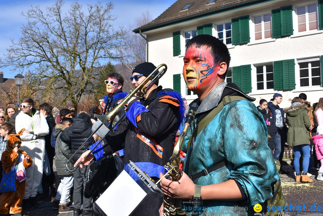 Fasnachtsumzug: Rorbas-Embrach - Schweiz, 04.03.2018