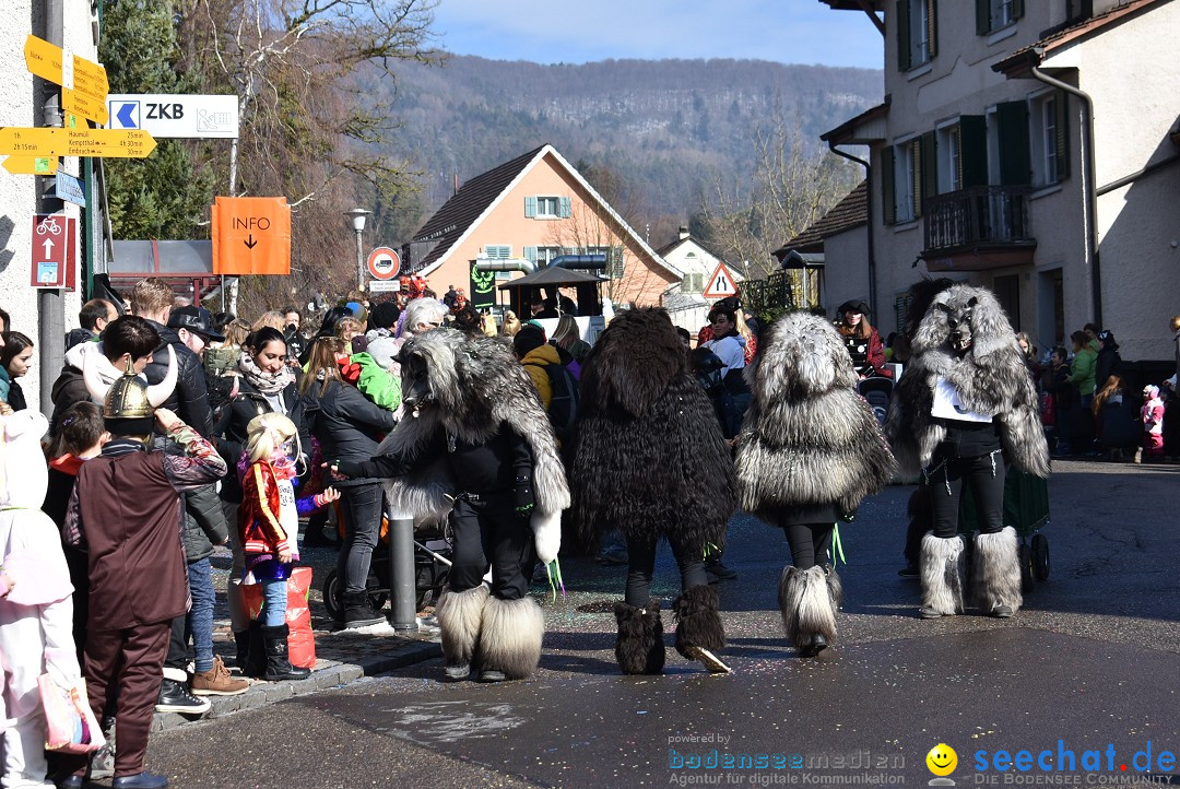 Fasnachtsumzug: Rorbas-Embrach - Schweiz, 04.03.2018