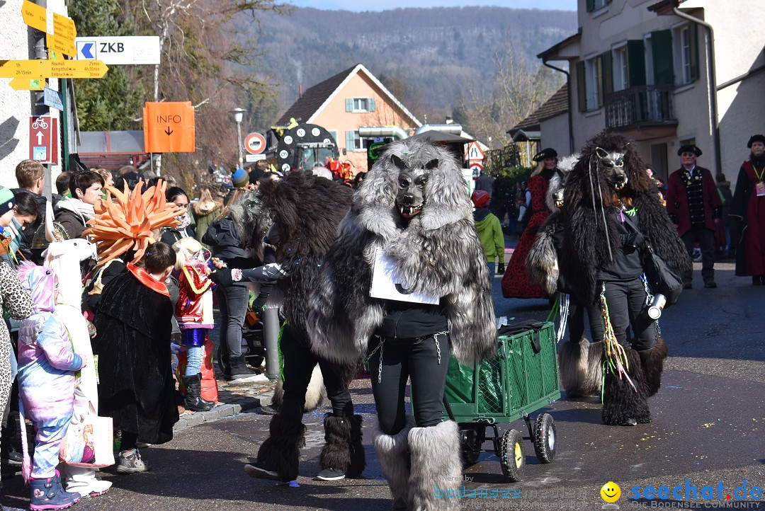 Fasnachtsumzug: Rorbas-Embrach - Schweiz, 04.03.2018