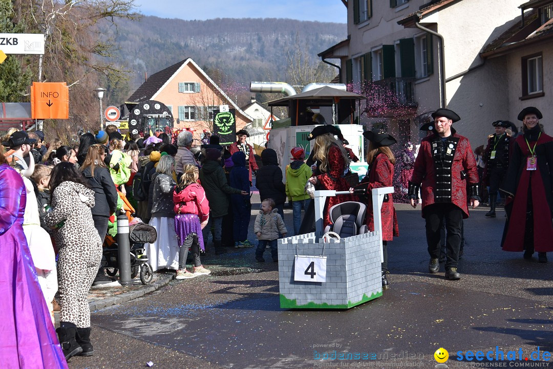 Fasnachtsumzug: Rorbas-Embrach - Schweiz, 04.03.2018