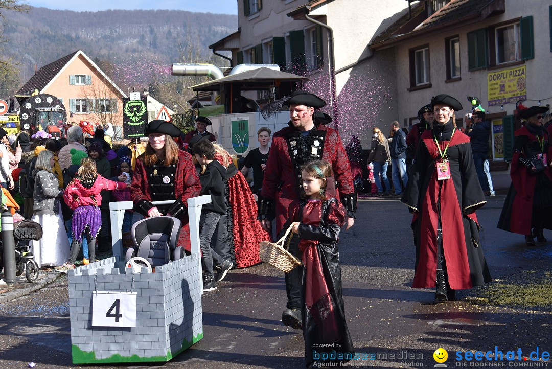 Fasnachtsumzug: Rorbas-Embrach - Schweiz, 04.03.2018