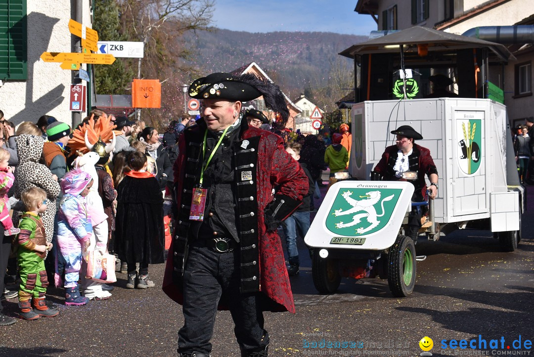 Fasnachtsumzug: Rorbas-Embrach - Schweiz, 04.03.2018