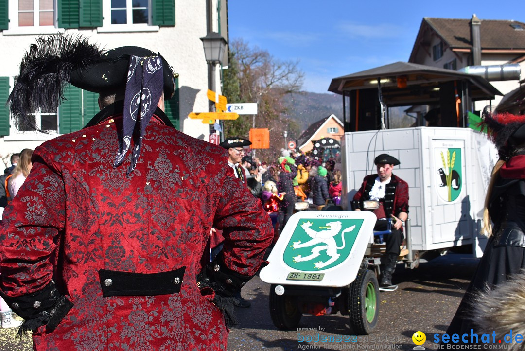 Fasnachtsumzug: Rorbas-Embrach - Schweiz, 04.03.2018