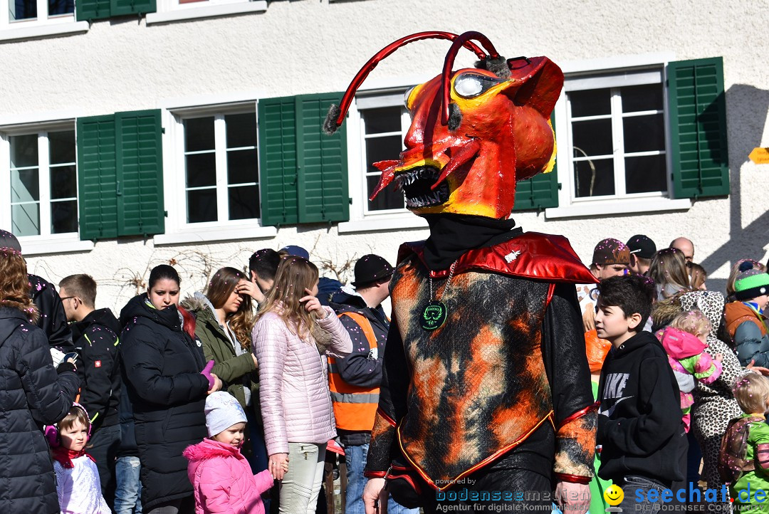 Fasnachtsumzug: Rorbas-Embrach - Schweiz, 04.03.2018