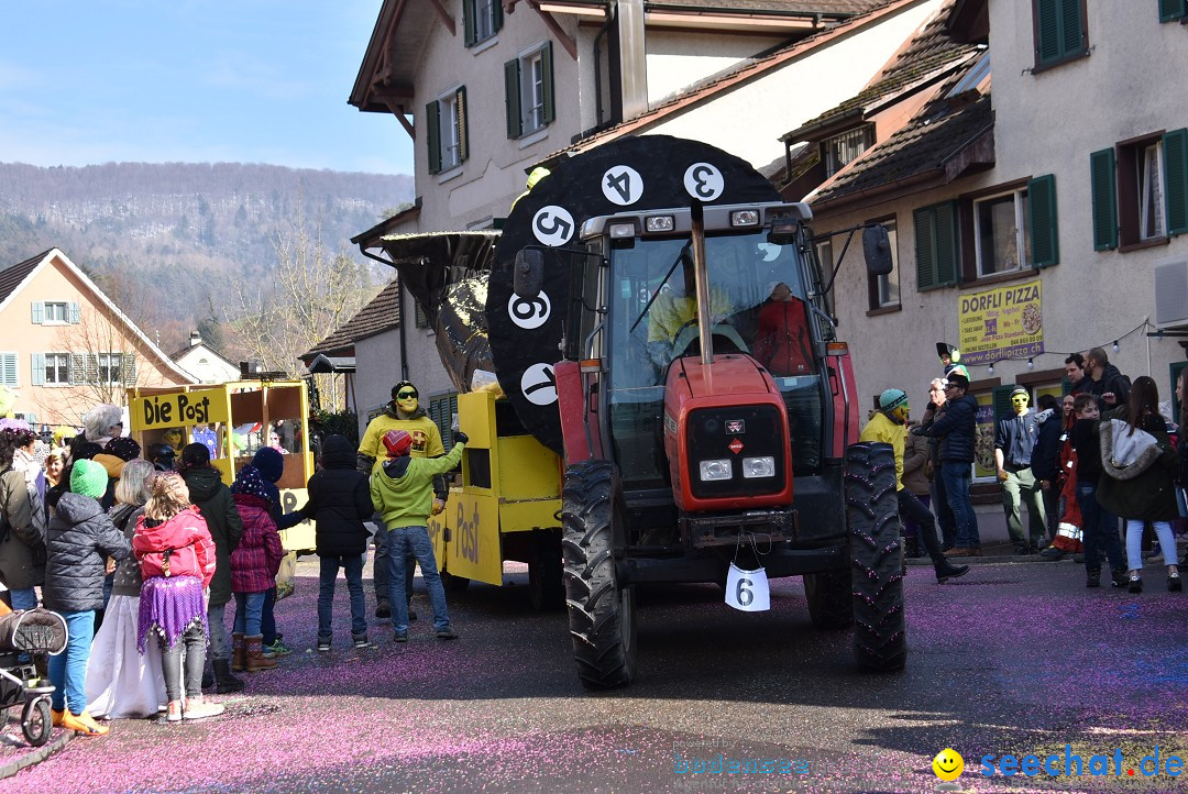 Fasnachtsumzug: Rorbas-Embrach - Schweiz, 04.03.2018