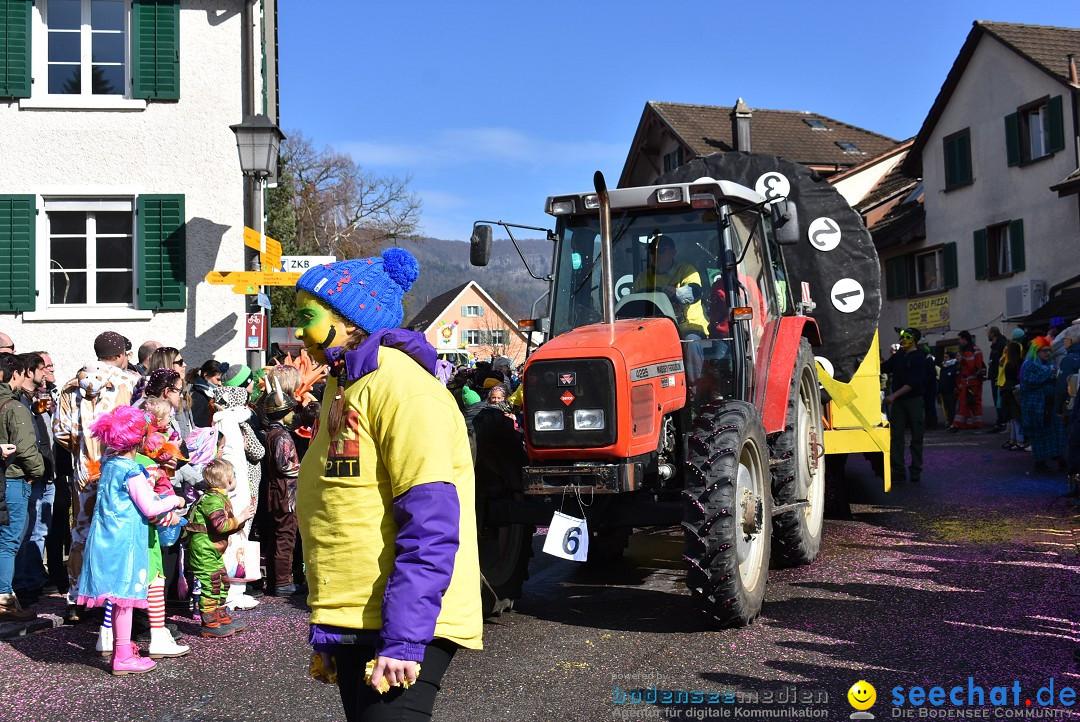 Fasnachtsumzug: Rorbas-Embrach - Schweiz, 04.03.2018