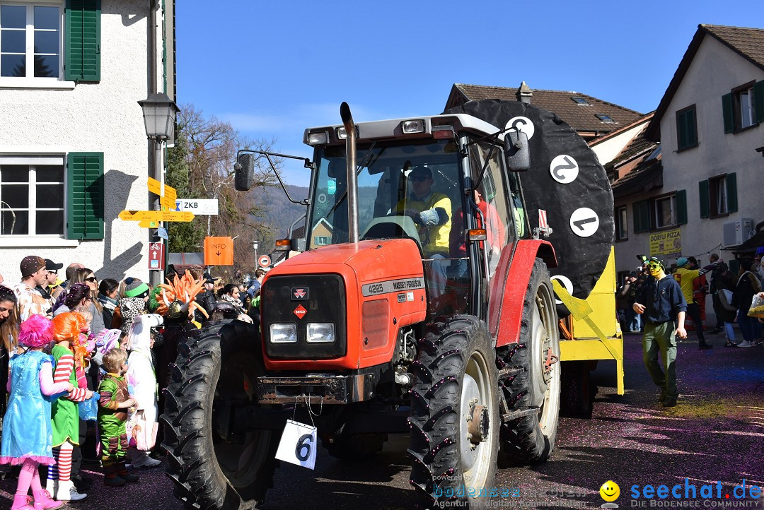 Fasnachtsumzug: Rorbas-Embrach - Schweiz, 04.03.2018