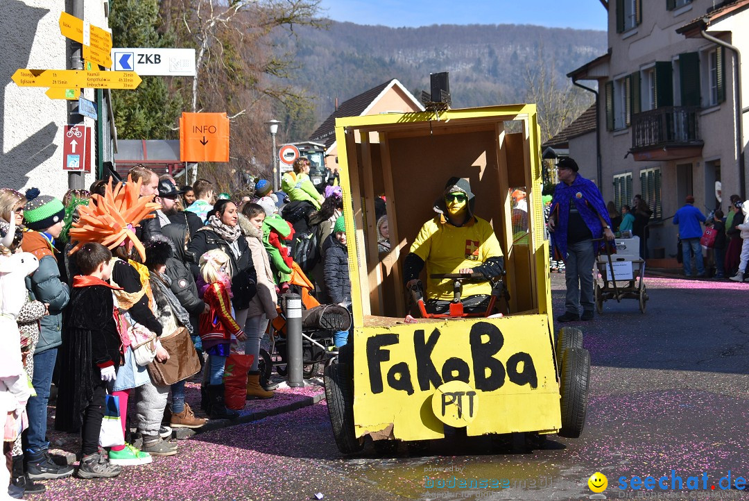 Fasnachtsumzug: Rorbas-Embrach - Schweiz, 04.03.2018