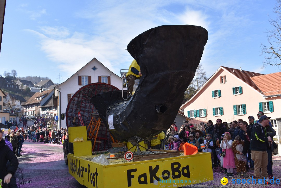 Fasnachtsumzug: Rorbas-Embrach - Schweiz, 04.03.2018