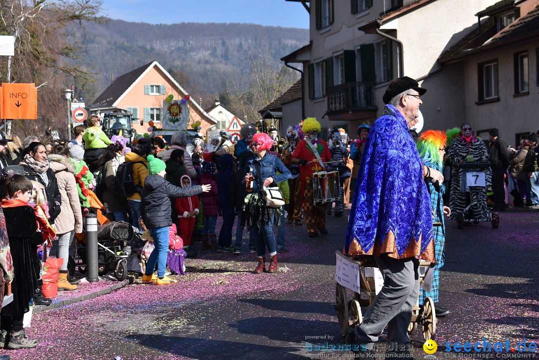 Fasnachtsumzug: Rorbas-Embrach - Schweiz, 04.03.2018