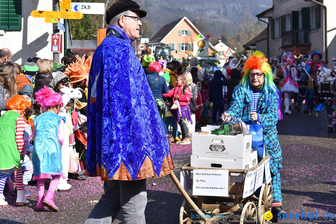 Fasnachtsumzug: Rorbas-Embrach - Schweiz, 04.03.2018