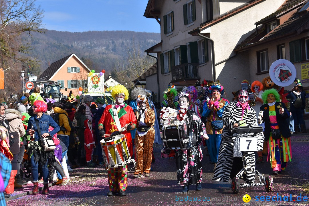 Fasnachtsumzug: Rorbas-Embrach - Schweiz, 04.03.2018