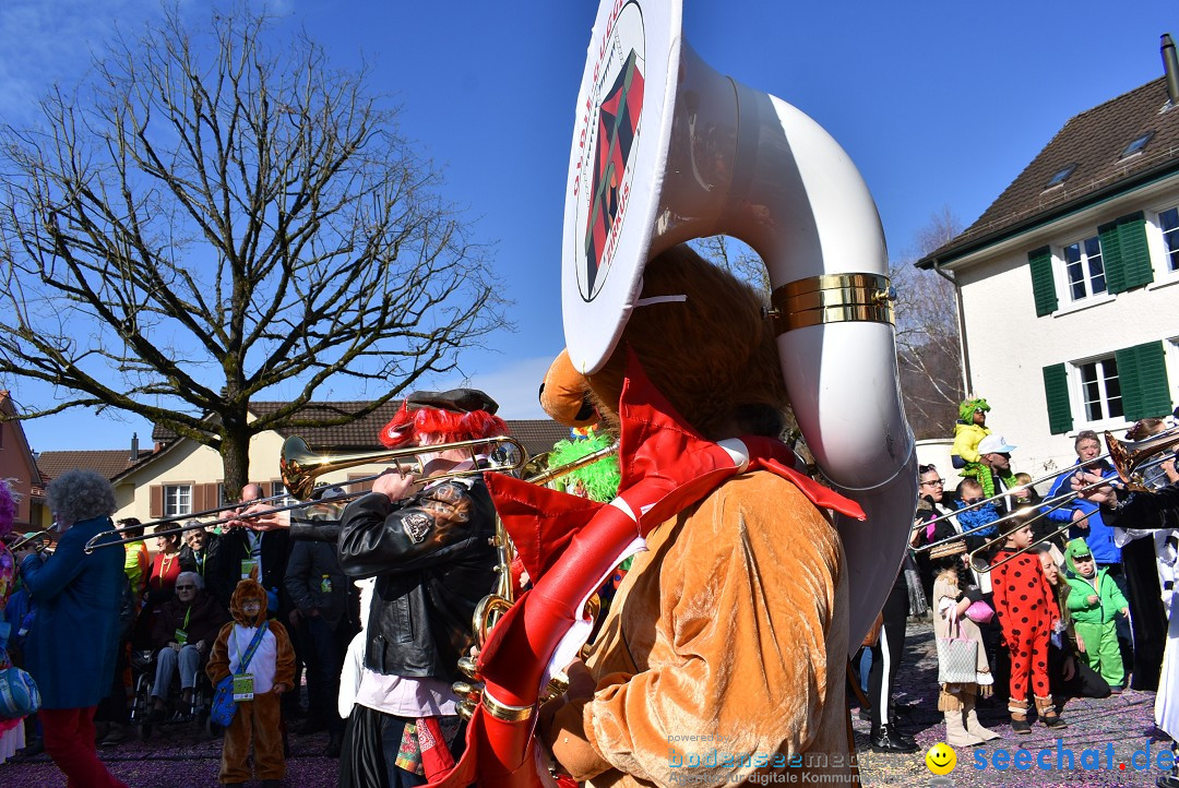 Fasnachtsumzug: Rorbas-Embrach - Schweiz, 04.03.2018