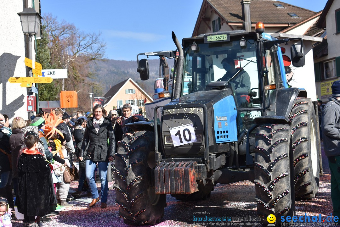 Fasnachtsumzug: Rorbas-Embrach - Schweiz, 04.03.2018