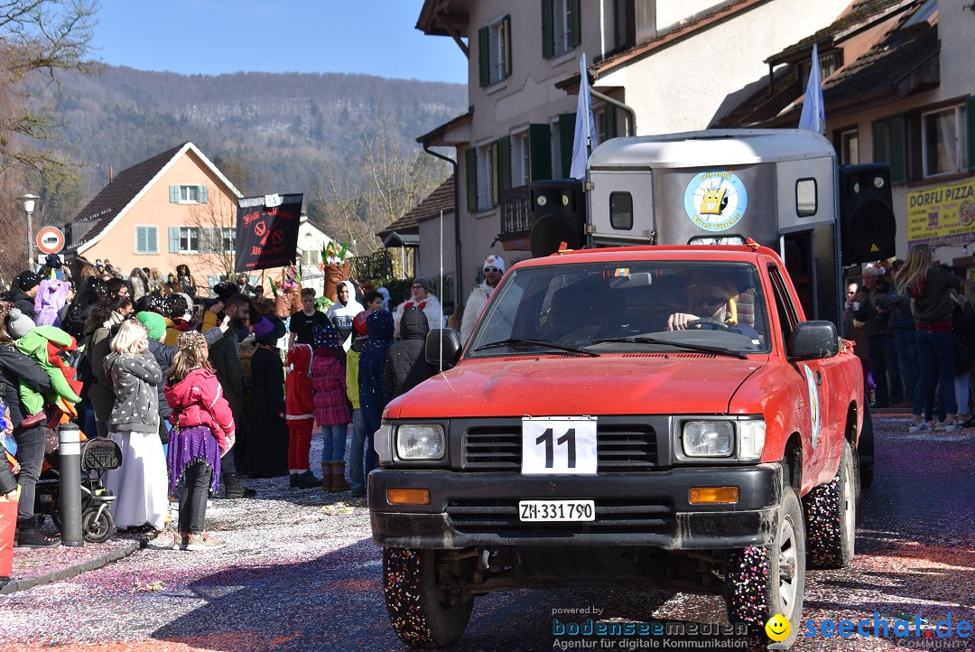 Fasnachtsumzug: Rorbas-Embrach - Schweiz, 04.03.2018