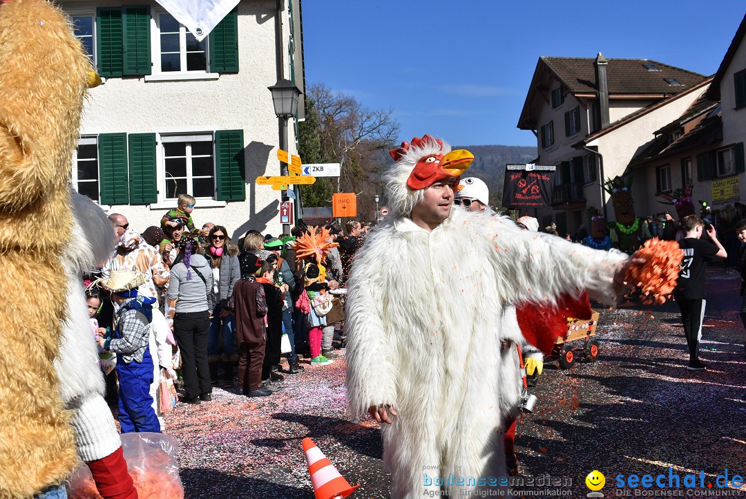 Fasnachtsumzug: Rorbas-Embrach - Schweiz, 04.03.2018