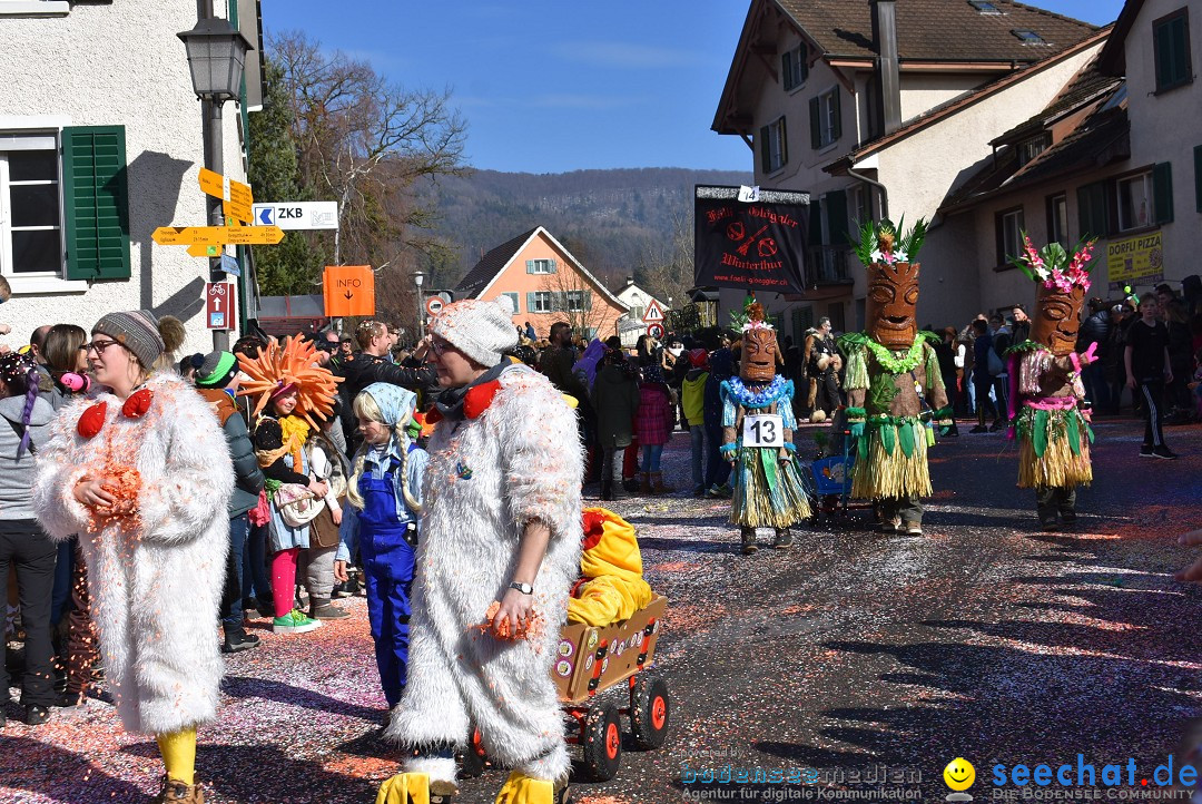 Fasnachtsumzug: Rorbas-Embrach - Schweiz, 04.03.2018