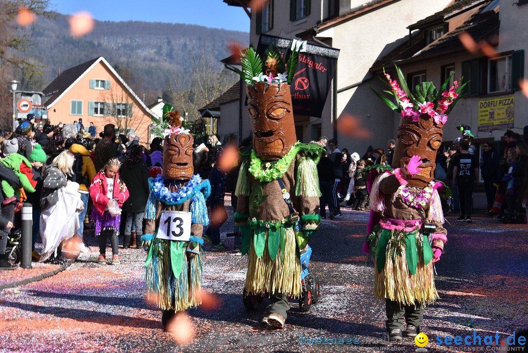 Fasnachtsumzug: Rorbas-Embrach - Schweiz, 04.03.2018