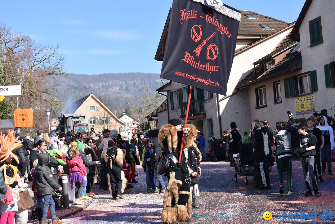 Fasnachtsumzug: Rorbas-Embrach - Schweiz, 04.03.2018