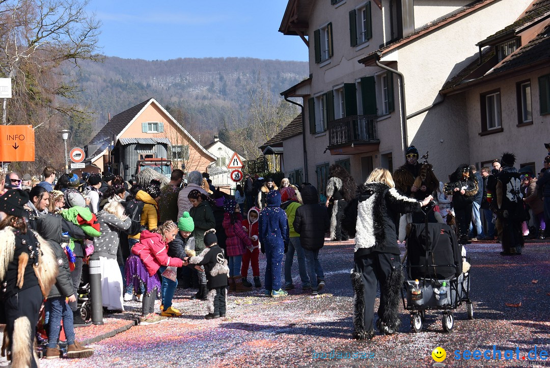 Fasnachtsumzug: Rorbas-Embrach - Schweiz, 04.03.2018