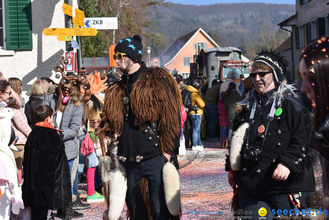 Fasnachtsumzug: Rorbas-Embrach - Schweiz, 04.03.2018