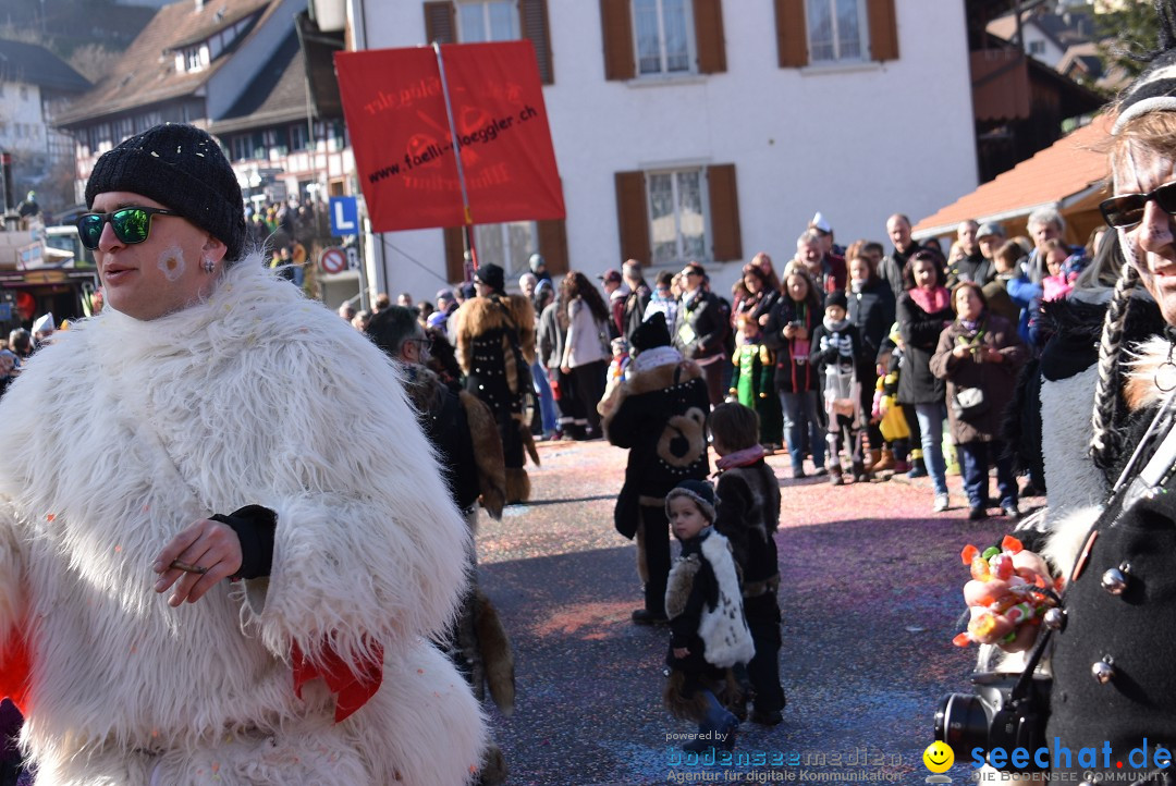 Fasnachtsumzug: Rorbas-Embrach - Schweiz, 04.03.2018