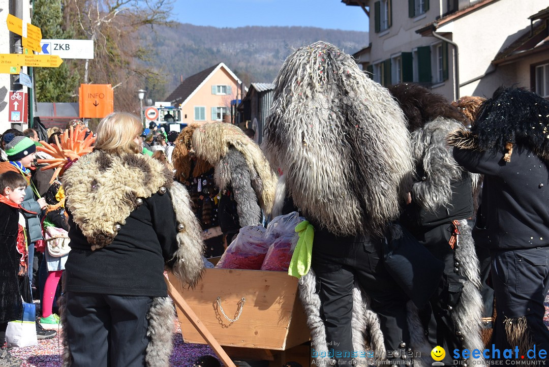 Fasnachtsumzug: Rorbas-Embrach - Schweiz, 04.03.2018