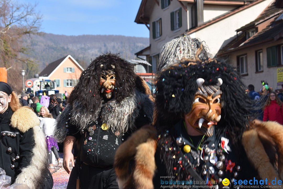 Fasnachtsumzug: Rorbas-Embrach - Schweiz, 04.03.2018