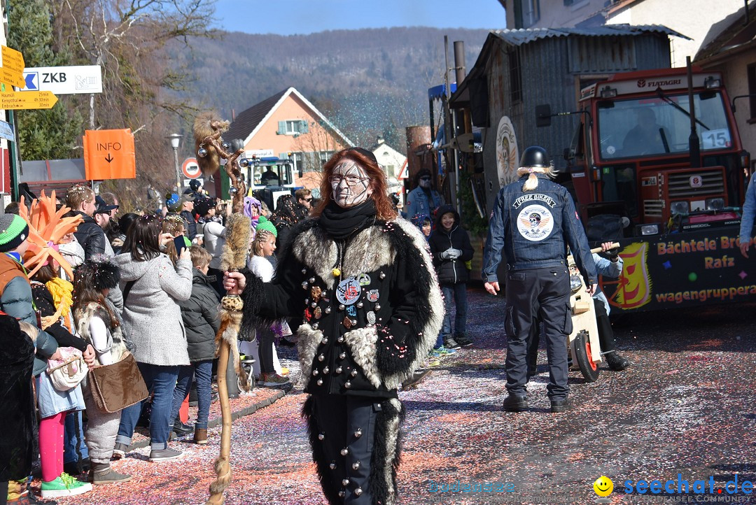 Fasnachtsumzug: Rorbas-Embrach - Schweiz, 04.03.2018