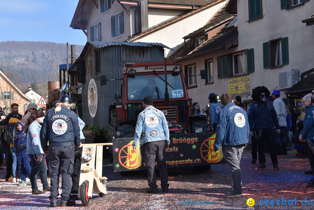 Fasnachtsumzug: Rorbas-Embrach - Schweiz, 04.03.2018