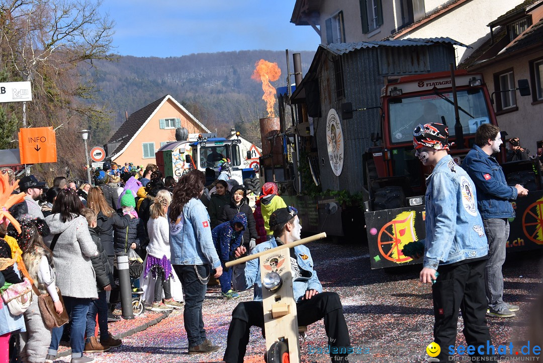 Fasnachtsumzug: Rorbas-Embrach - Schweiz, 04.03.2018