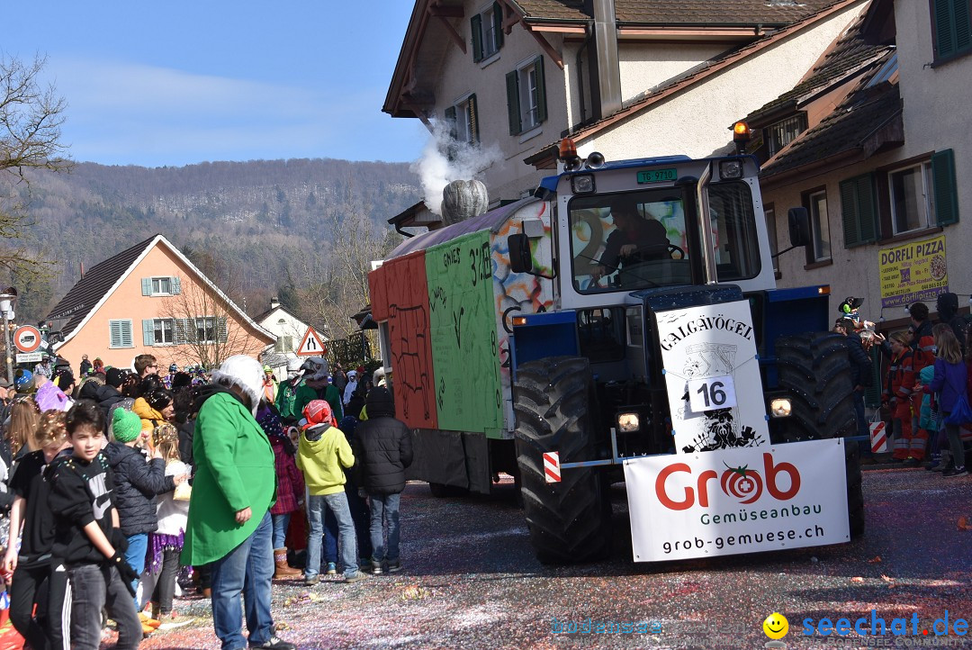 Fasnachtsumzug: Rorbas-Embrach - Schweiz, 04.03.2018