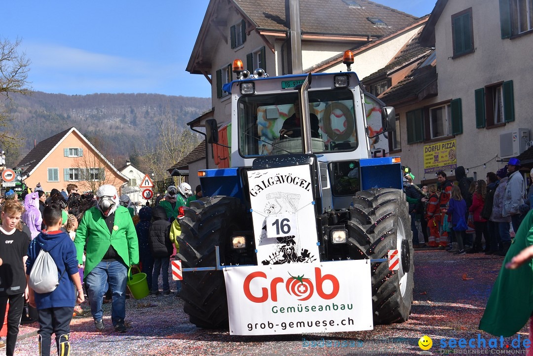 Fasnachtsumzug: Rorbas-Embrach - Schweiz, 04.03.2018