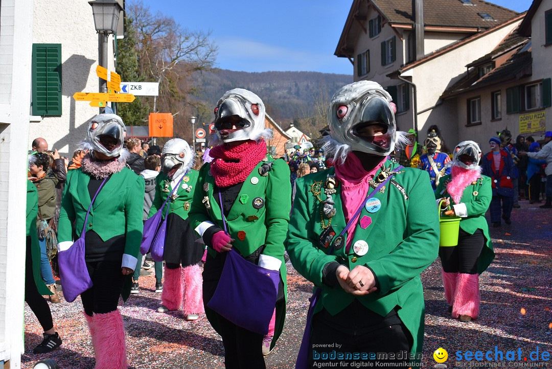 Fasnachtsumzug: Rorbas-Embrach - Schweiz, 04.03.2018