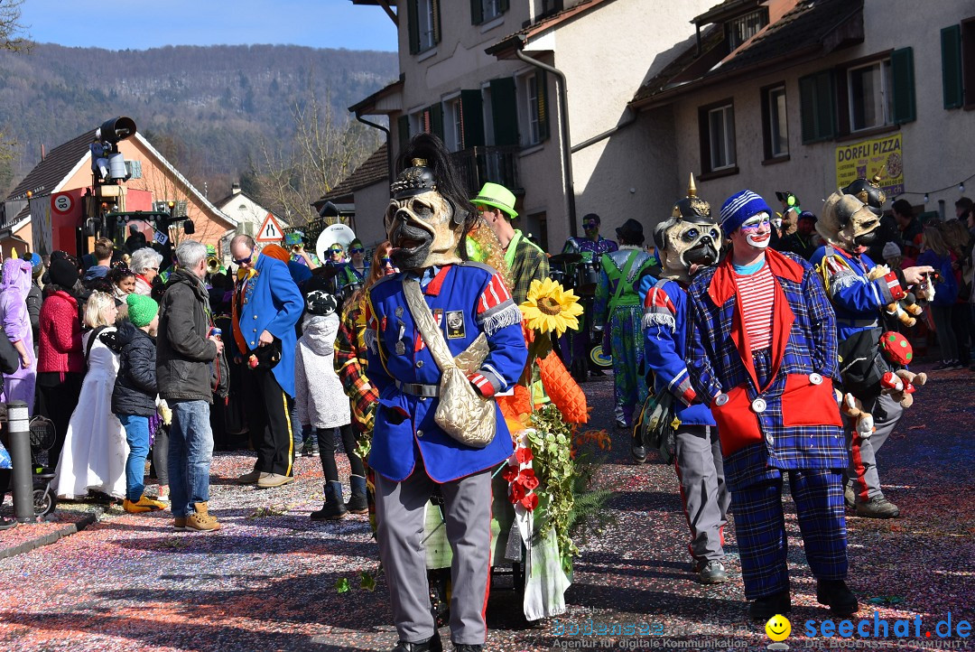 Fasnachtsumzug: Rorbas-Embrach - Schweiz, 04.03.2018