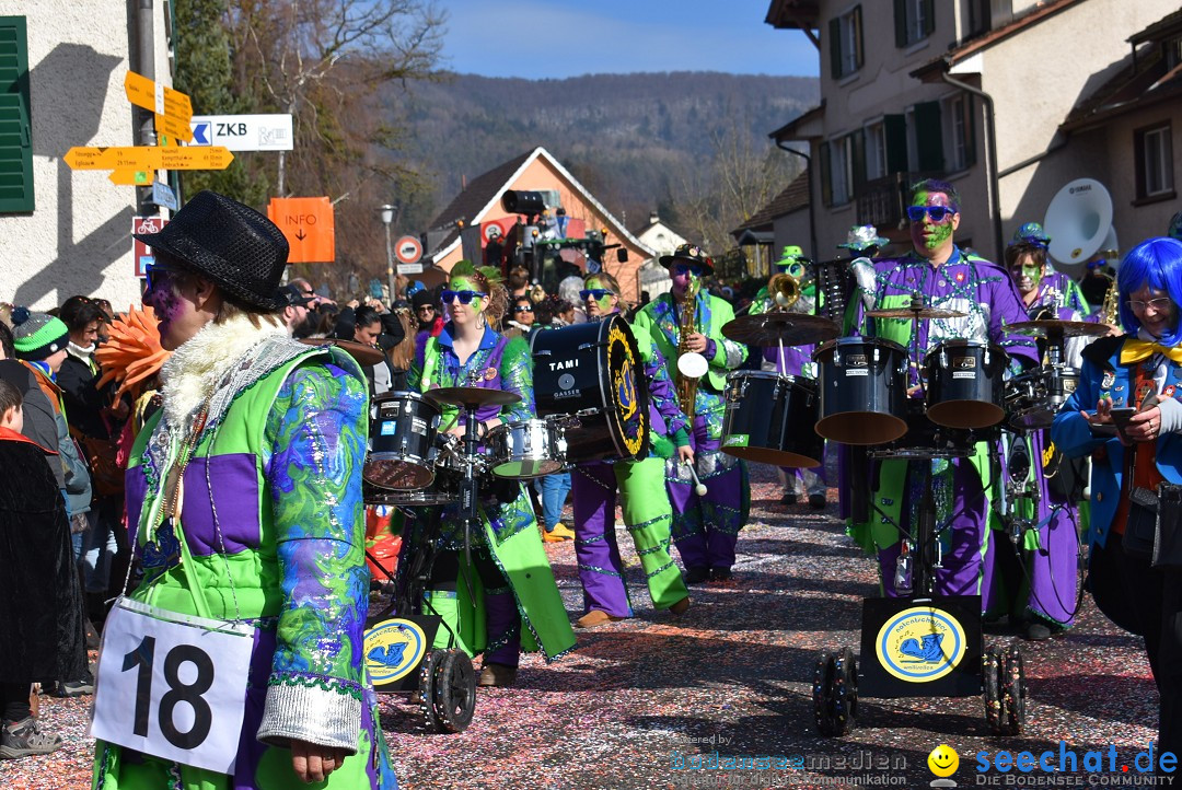 Fasnachtsumzug: Rorbas-Embrach - Schweiz, 04.03.2018