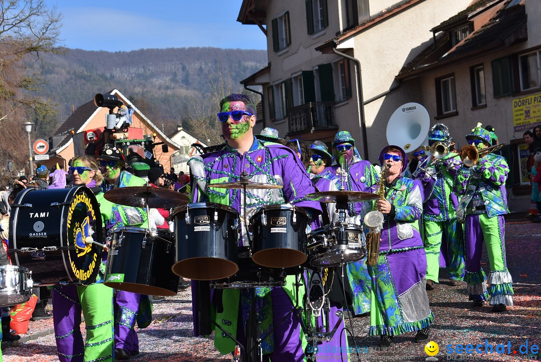 Fasnachtsumzug: Rorbas-Embrach - Schweiz, 04.03.2018