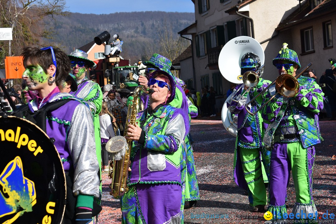 Fasnachtsumzug: Rorbas-Embrach - Schweiz, 04.03.2018