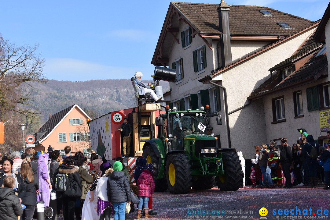 Fasnachtsumzug: Rorbas-Embrach - Schweiz, 04.03.2018