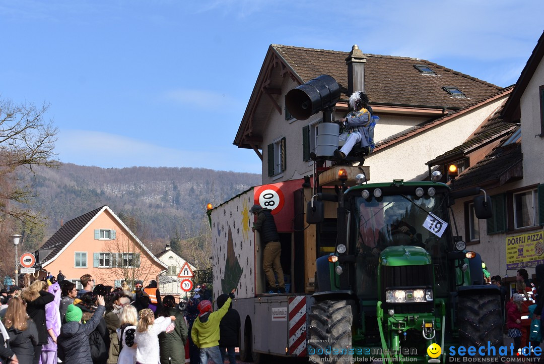 Fasnachtsumzug: Rorbas-Embrach - Schweiz, 04.03.2018