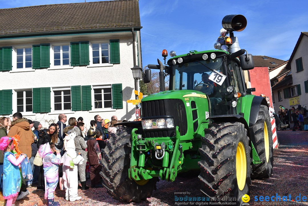 Fasnachtsumzug: Rorbas-Embrach - Schweiz, 04.03.2018