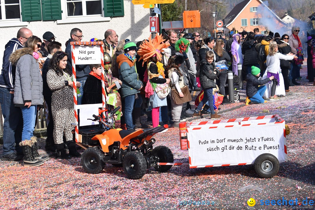 Fasnachtsumzug: Rorbas-Embrach - Schweiz, 04.03.2018