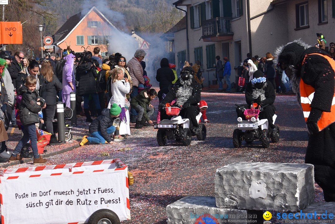 Fasnachtsumzug: Rorbas-Embrach - Schweiz, 04.03.2018