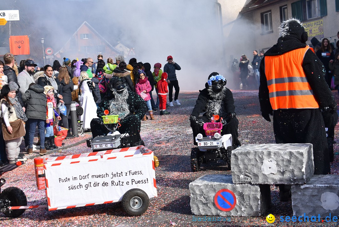 Fasnachtsumzug: Rorbas-Embrach - Schweiz, 04.03.2018