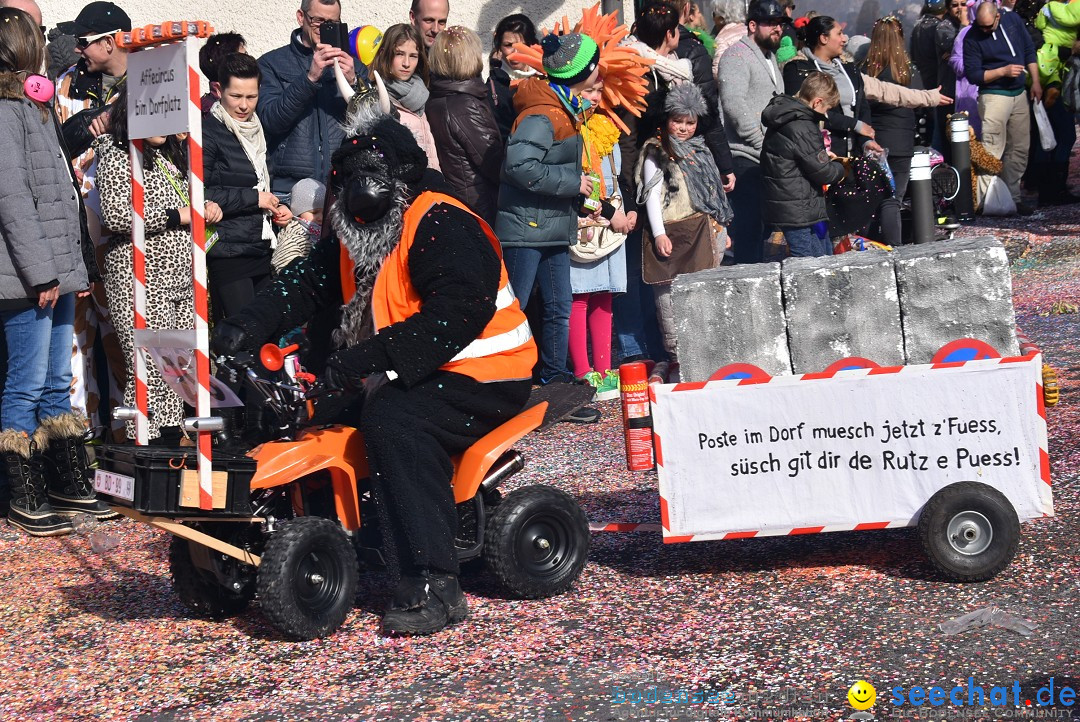 Fasnachtsumzug: Rorbas-Embrach - Schweiz, 04.03.2018