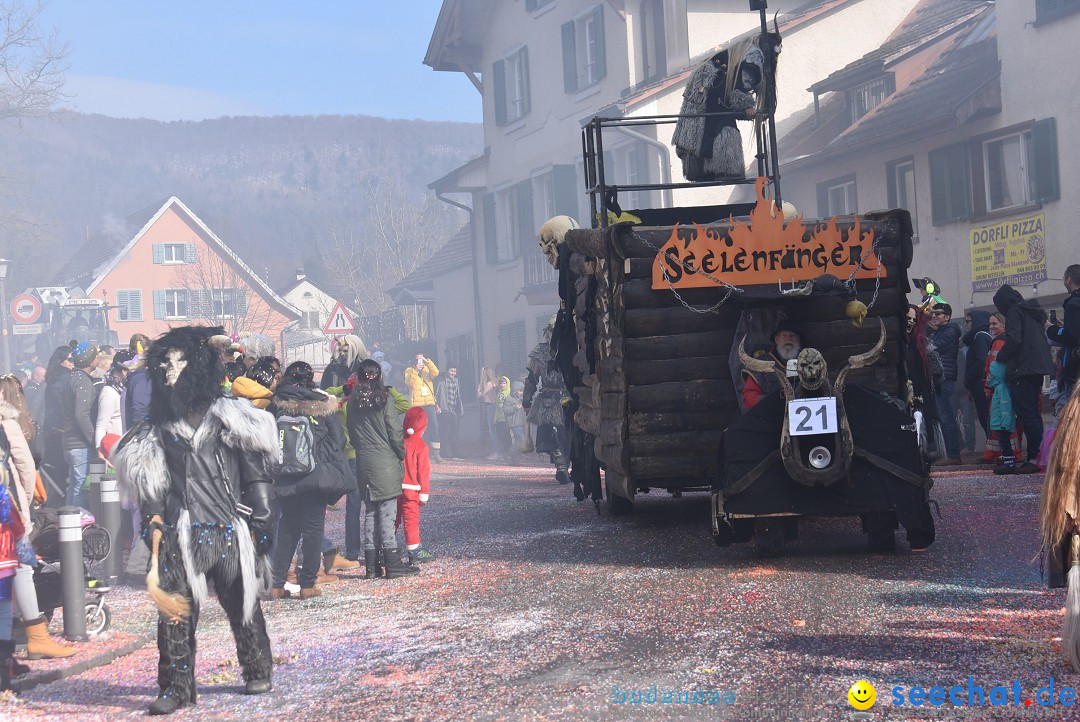 Fasnachtsumzug: Rorbas-Embrach - Schweiz, 04.03.2018