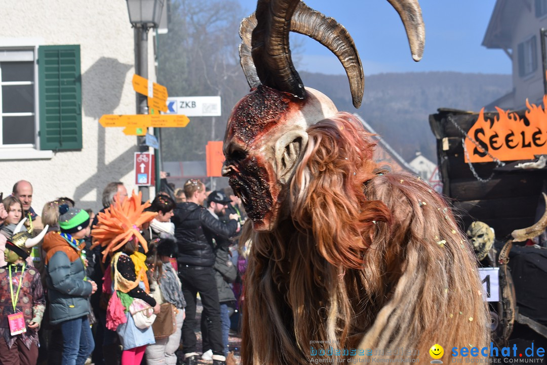 Fasnachtsumzug: Rorbas-Embrach - Schweiz, 04.03.2018