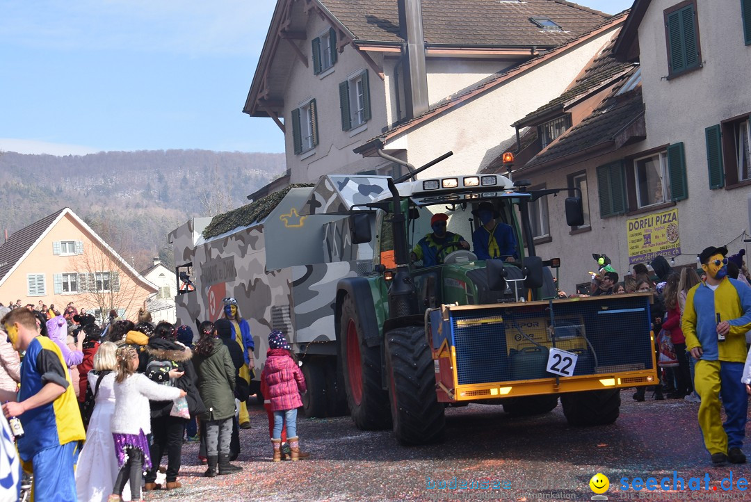 Fasnachtsumzug: Rorbas-Embrach - Schweiz, 04.03.2018