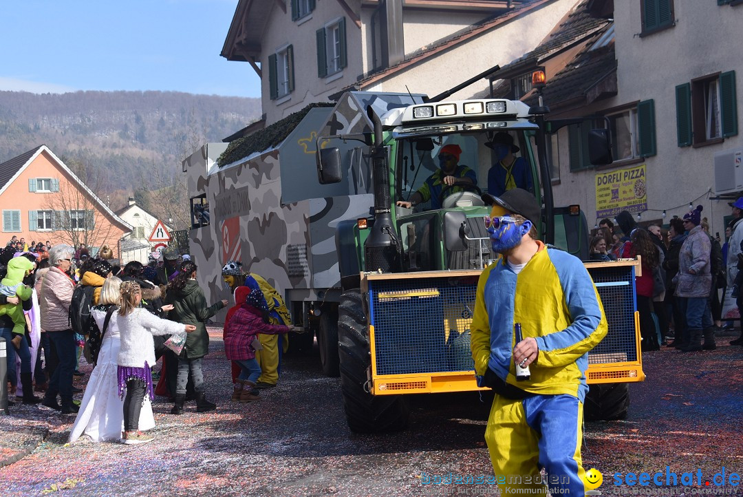 Fasnachtsumzug: Rorbas-Embrach - Schweiz, 04.03.2018