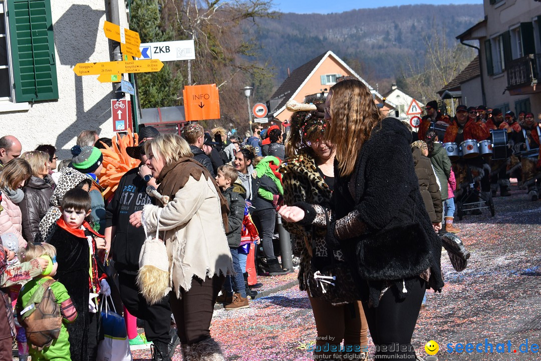 Fasnachtsumzug: Rorbas-Embrach - Schweiz, 04.03.2018